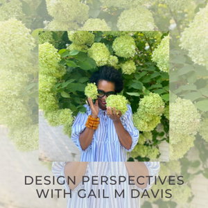 Design Perspectives 