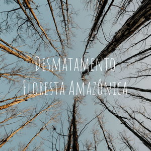 Desmatamento Floresta Amazônica