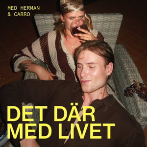 Det Där Med Livet