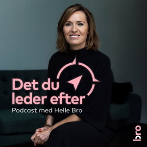 Det du leder efter