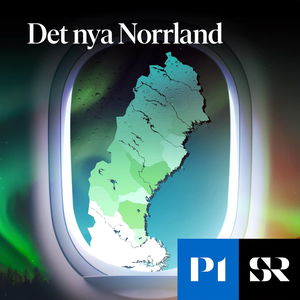 Det Nya Norrland