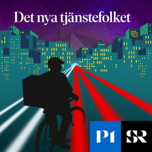 Det nya tjänstefolket