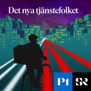 Det nya tjänstefolket