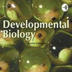 Developmental Biology By Gilbert