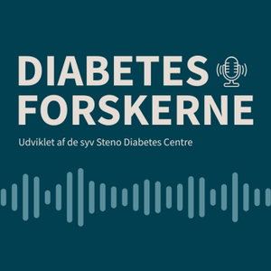 Diabetesforskerne