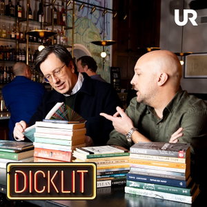 Dicklit