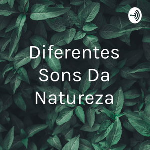 Diferentes Sons Da Natureza