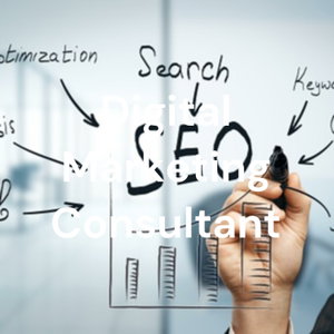 Digital Marketing Consultant