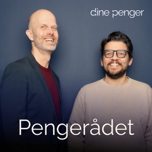 Dine Penger - Pengerådet