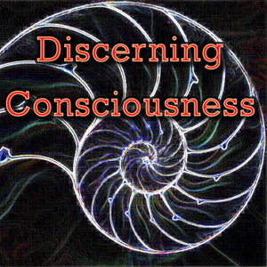Discerning Consciousness' Podcast