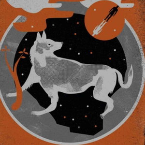 Distant Stations - A Podcast About The Mountain Goats
