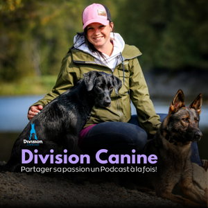 Division Canine | Partager sa passion du chien