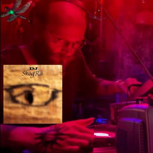 DJ SkogRå Mixes and Songs