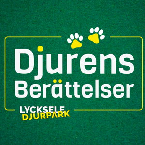 Djurens berättelser