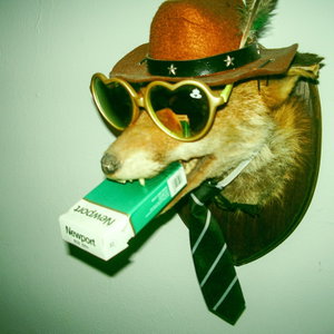 Dogecore Lore