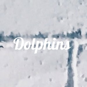 Dolphins 