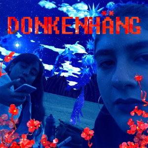 Donkenhäng