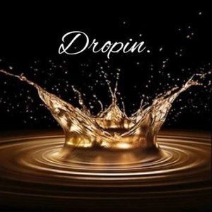 Dropin