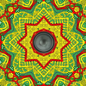 Dub ReVoluTiOn !