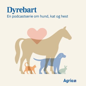 Dyrebart: Det gode hundeliv