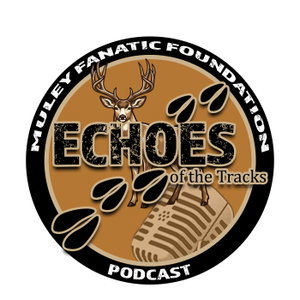 Echoes of the Tracks: MFF podcast