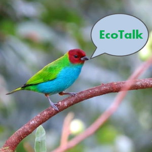 EcoTalk