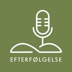 Efterfølgelse
