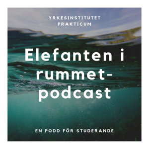 Elefanten i rummet