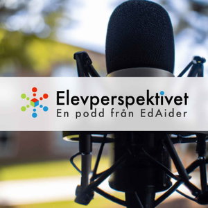 Elevperspektivet