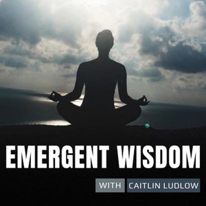 emergent wisdom