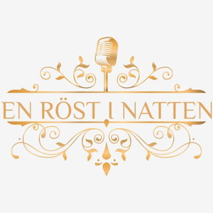 En röst i natten
