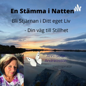 En Stämma i Natten - vägen till Stillhet