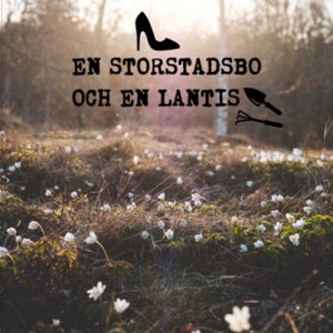 En storstadsbo och en lantis