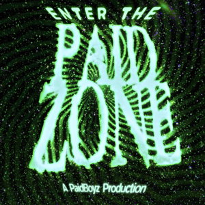 Enter The PaidZone