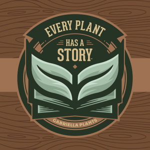 Every Plant Story | Gabriella Plants