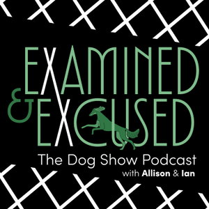 Examined and Excused: The Dog Show Podcast