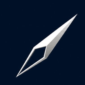 Executive Athletes- Performance Beyond the Boardroom 