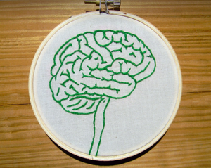 Explain the Brain