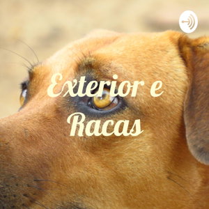 Exterior e Racas