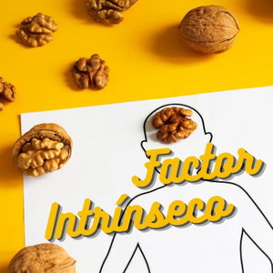 Factor Intrínseco