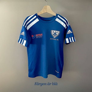 Färgen är blå