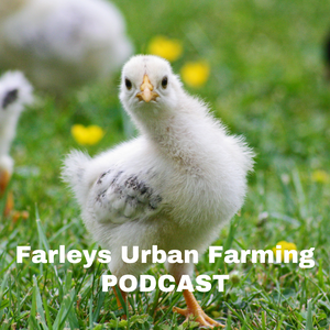 Farleys Urban Farming's Podcast