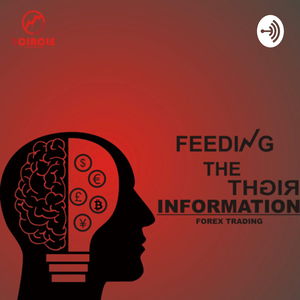 Feeding The right Information- Forex Trading