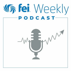 FEI Podcast