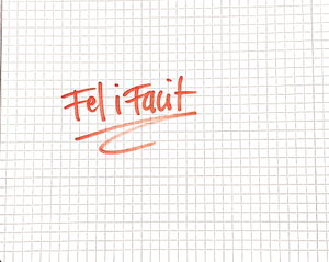 Fel i Facit