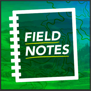 Field Notes