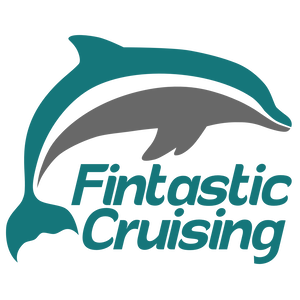 Fintastic Cruising