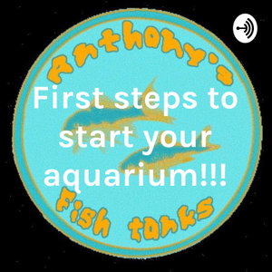First steps to start your aquarium!!!