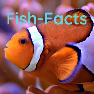 Fish-Facts