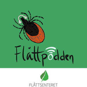 FLÅTT-PODDEN